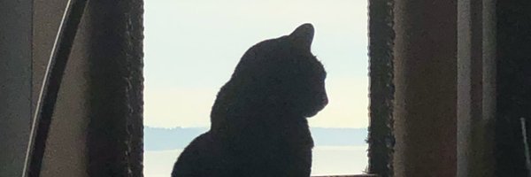 BrickenPine Profile Banner