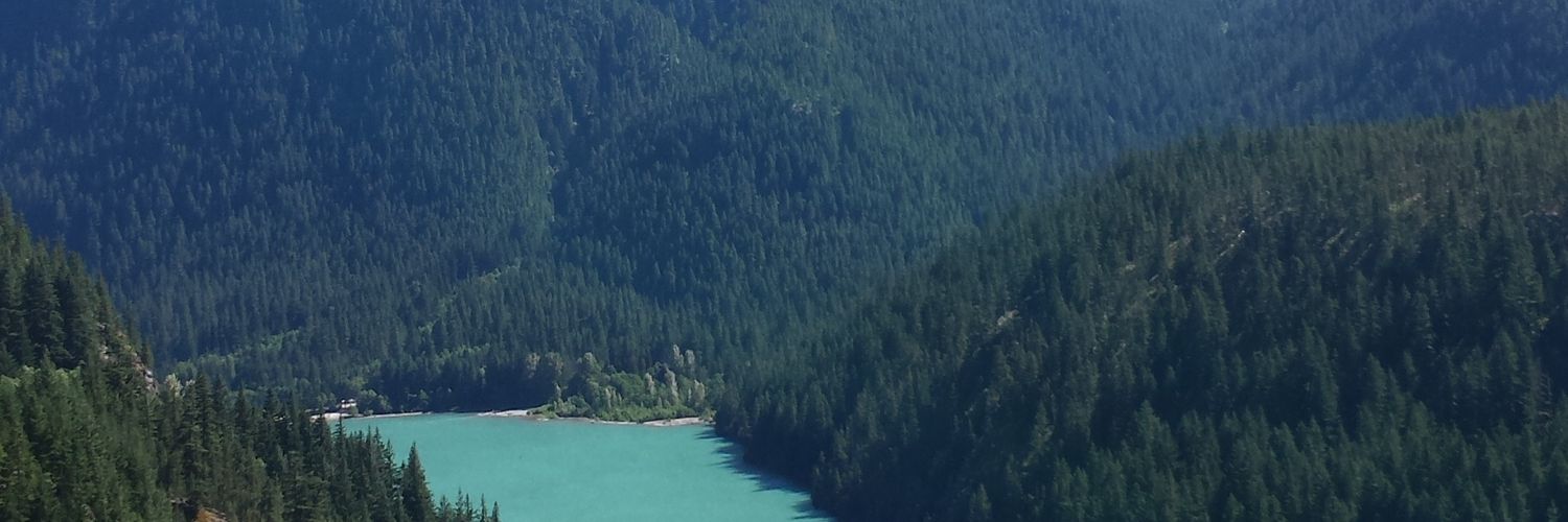 Mikey Waffles banner