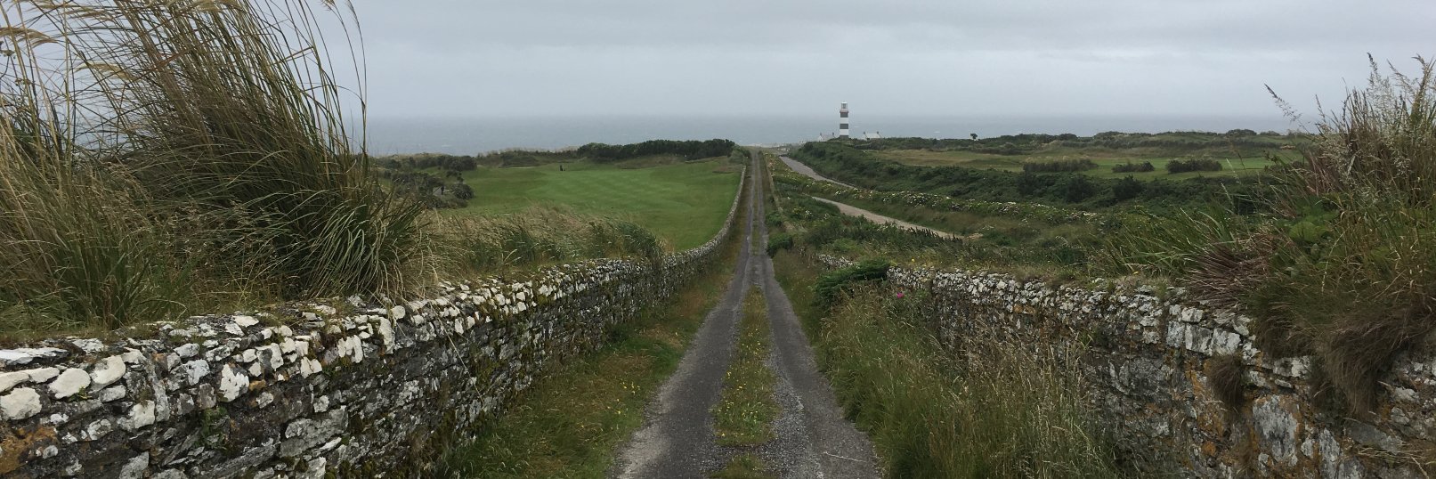 Snark Factory, Ltd banner