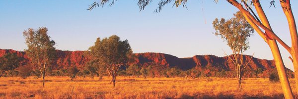 NNTC_official Profile Banner