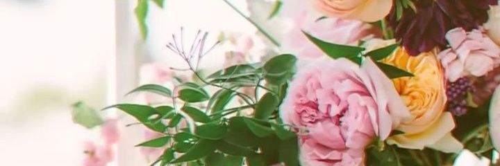 Lana 🩵 banner