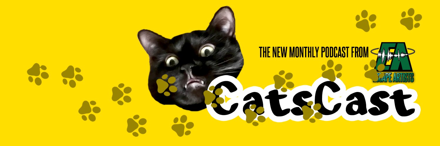 catscastpod banner
