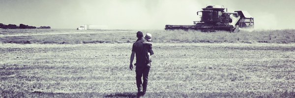 RLentils Profile Banner