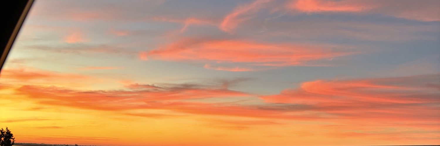 caroigle_'s profile banner image