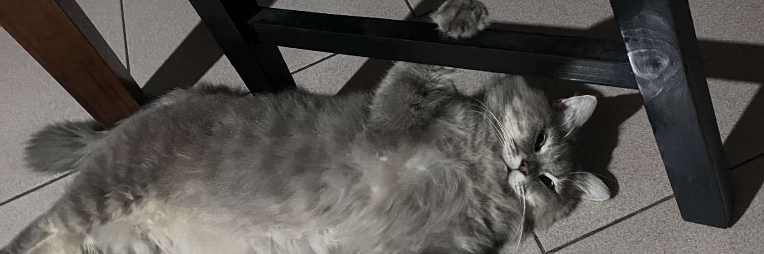 kitty_magnet's profile banner image