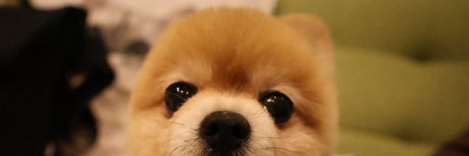 初美沙希のヘッダー画像