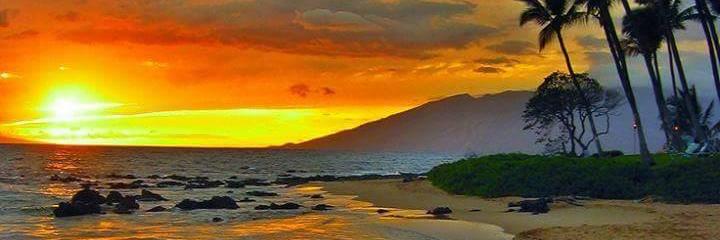 vbarinas's profile banner image