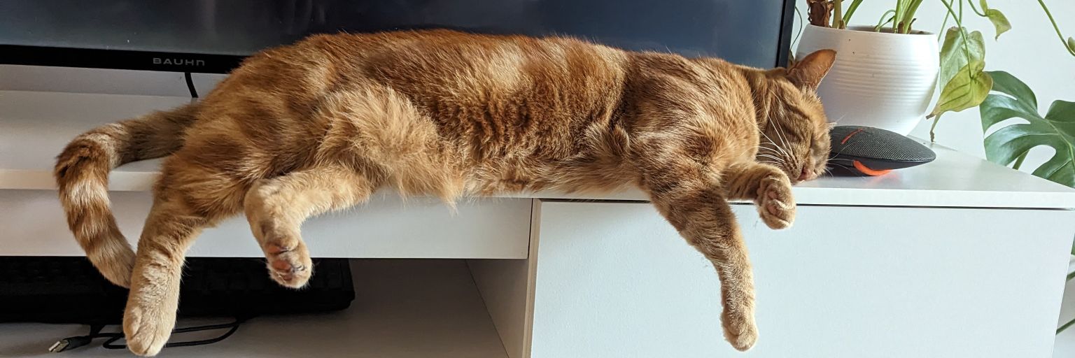 SleepyTea banner