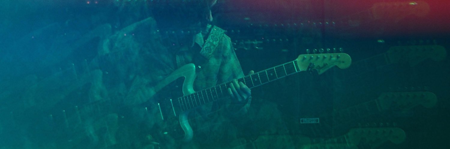 Animal Ghosts banner