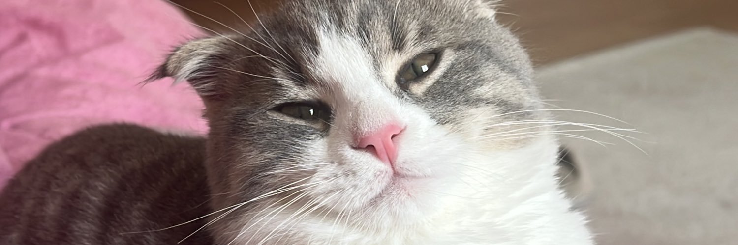 cogluklasigi's profile banner image