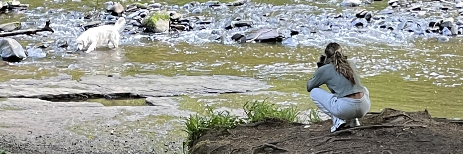 Ross Caldwell banner