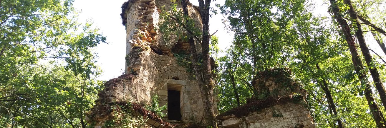 Gerrit van den Burg banner