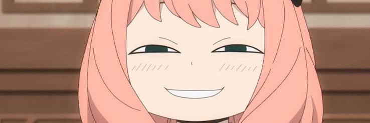 tanuki1993's profile banner image