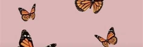 GreyOyarce's profile banner image