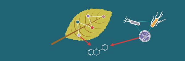 SynBio4Flav Profile Banner