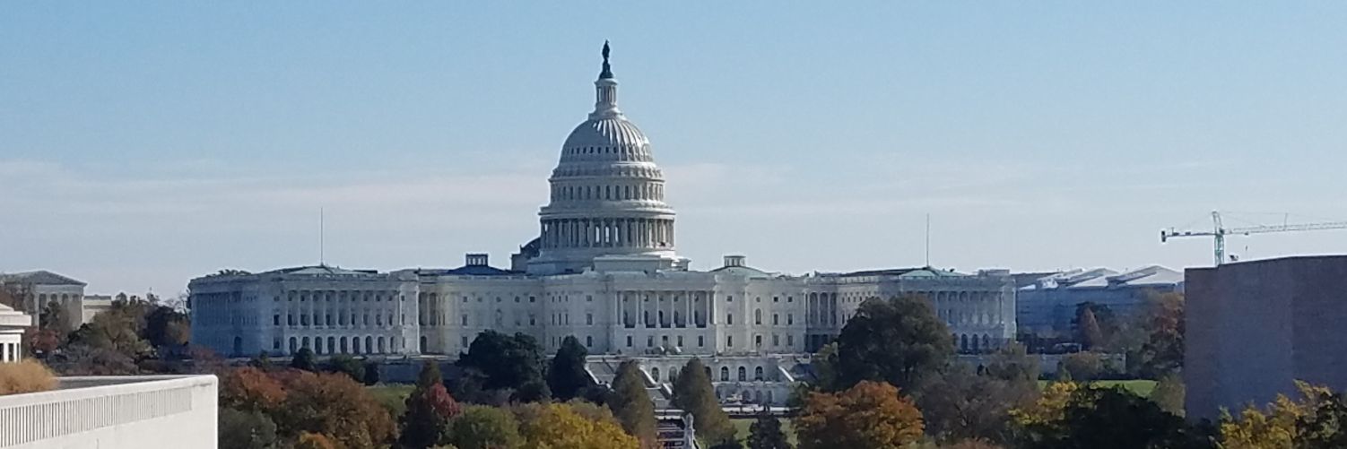 HaleyLHamblin's profile banner image
