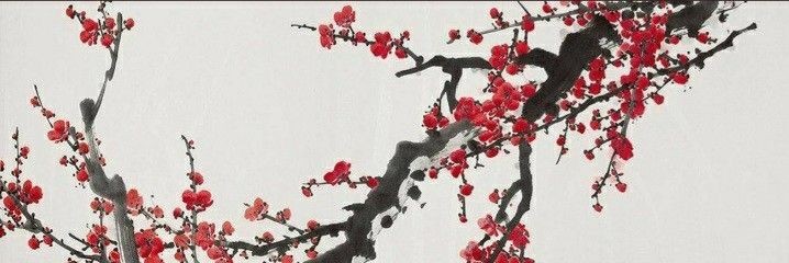 roxanaclaus's profile banner image