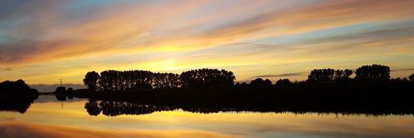 Westwerf Profile Banner