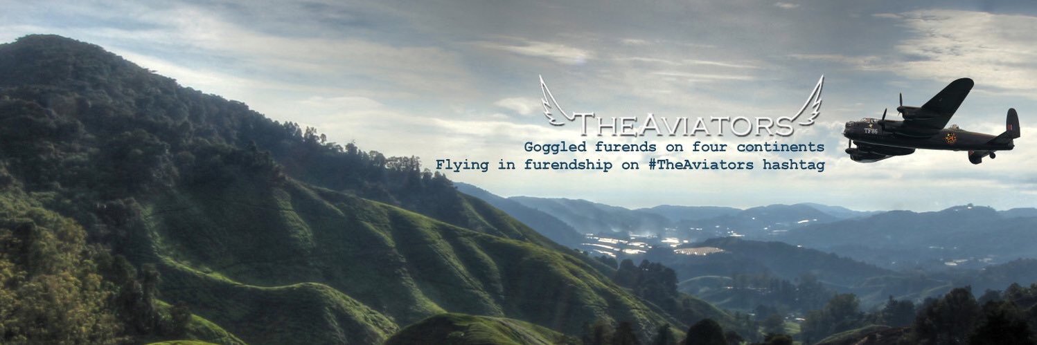 The Anipal Aviators's banner