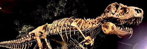JGN_Paleo Profile Banner