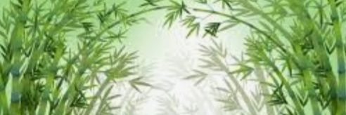 bambugirasol's profile banner image