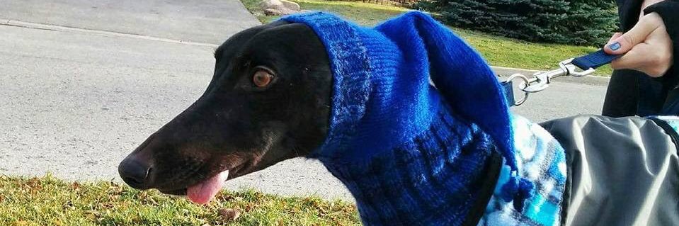 shaanecastro69's profile banner image