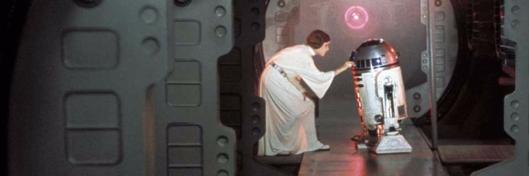 Fernando Fernández banner