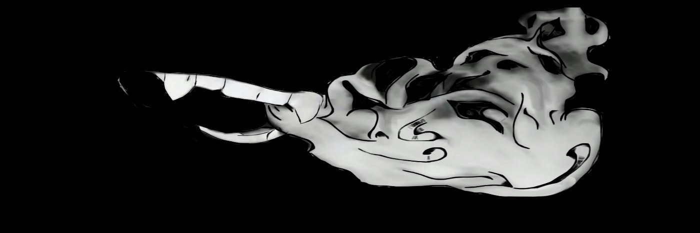 Metro_Mike banner