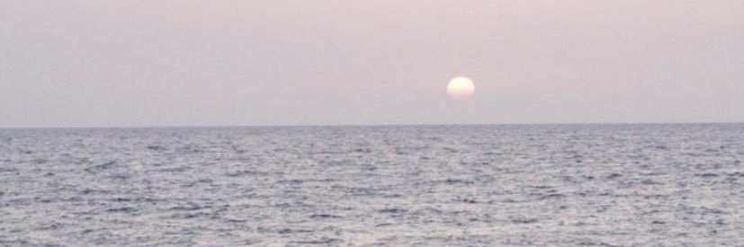 layanjouhari's profile banner image