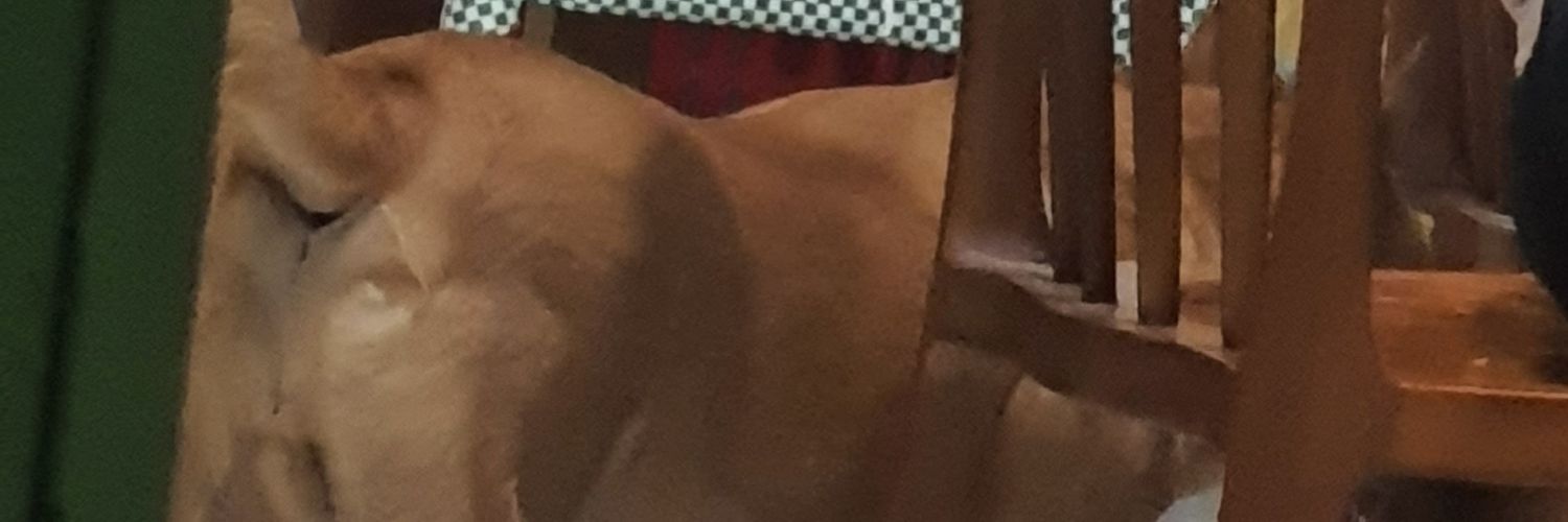 dvdbtbr's profile banner image