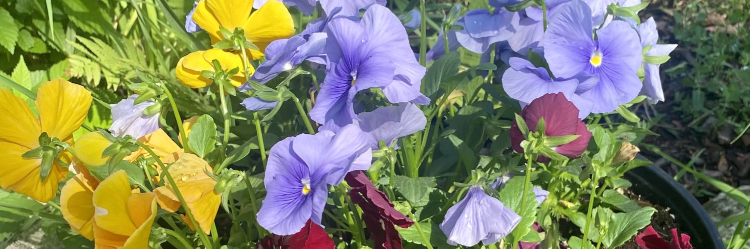 Bert Clements banner