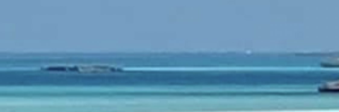 Lesley W banner