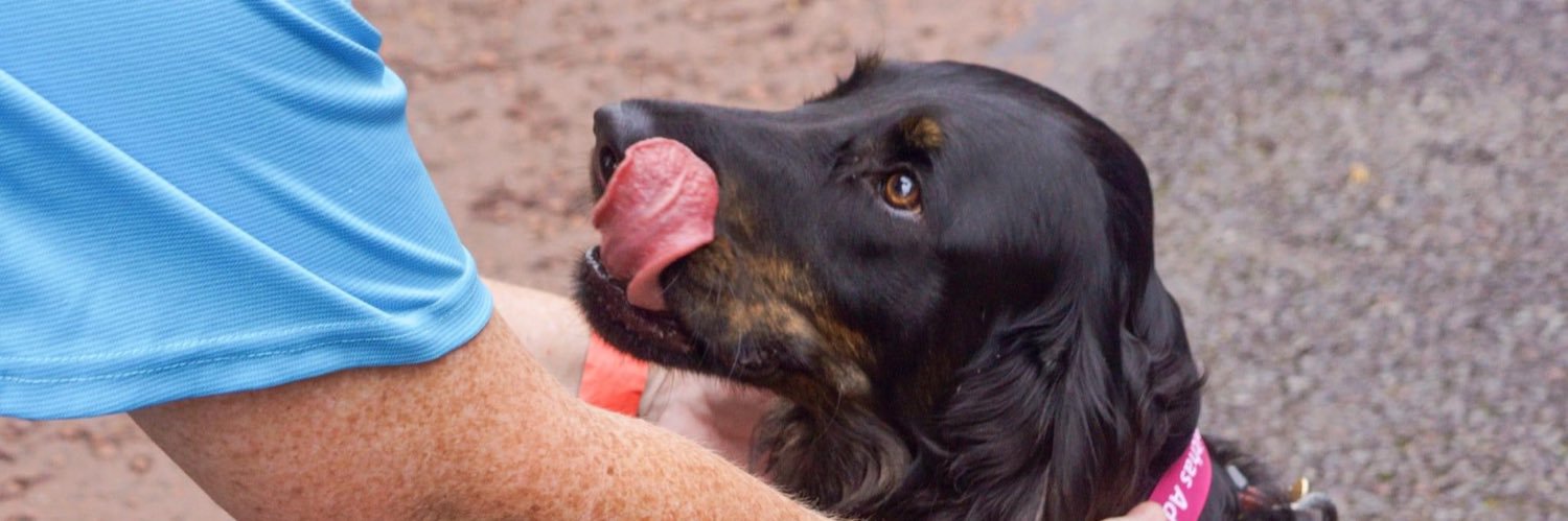 Rob_Bugden417 〓〓 banner