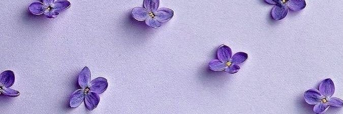 destikarosa's profile banner image