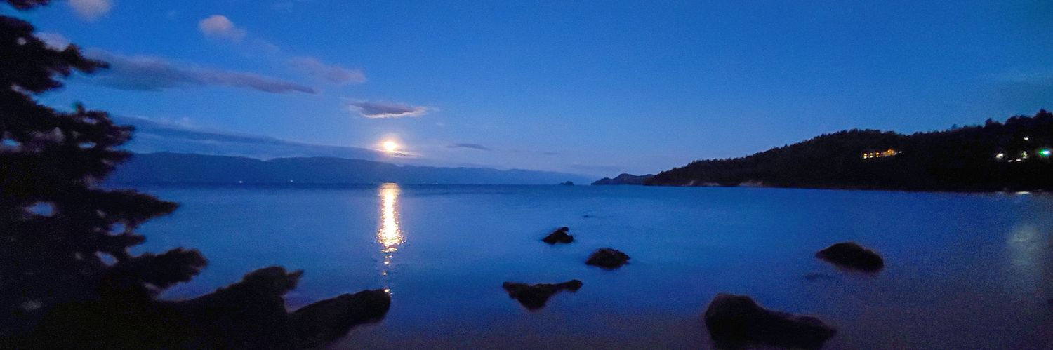 YNPPhotography's profile banner image