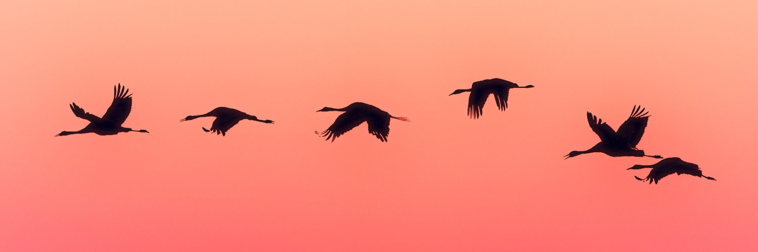 World In Eyes banner