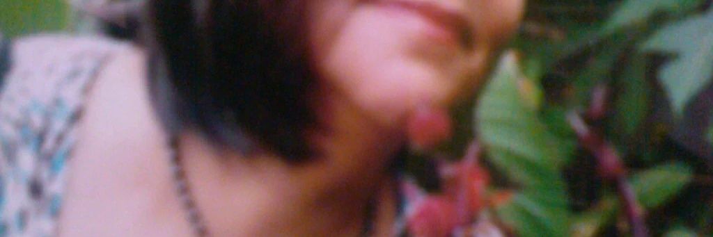Lidia Soto banner
