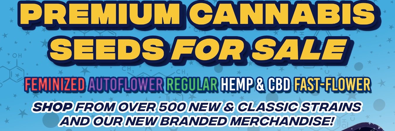 RocketSeeds banner
