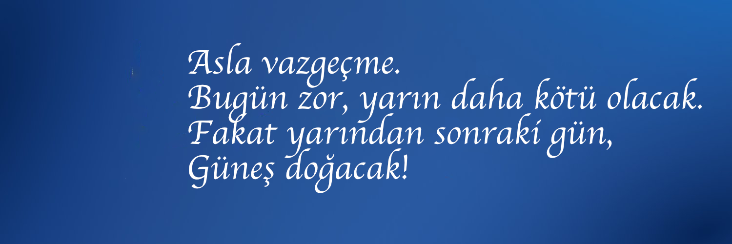 Tolga banner