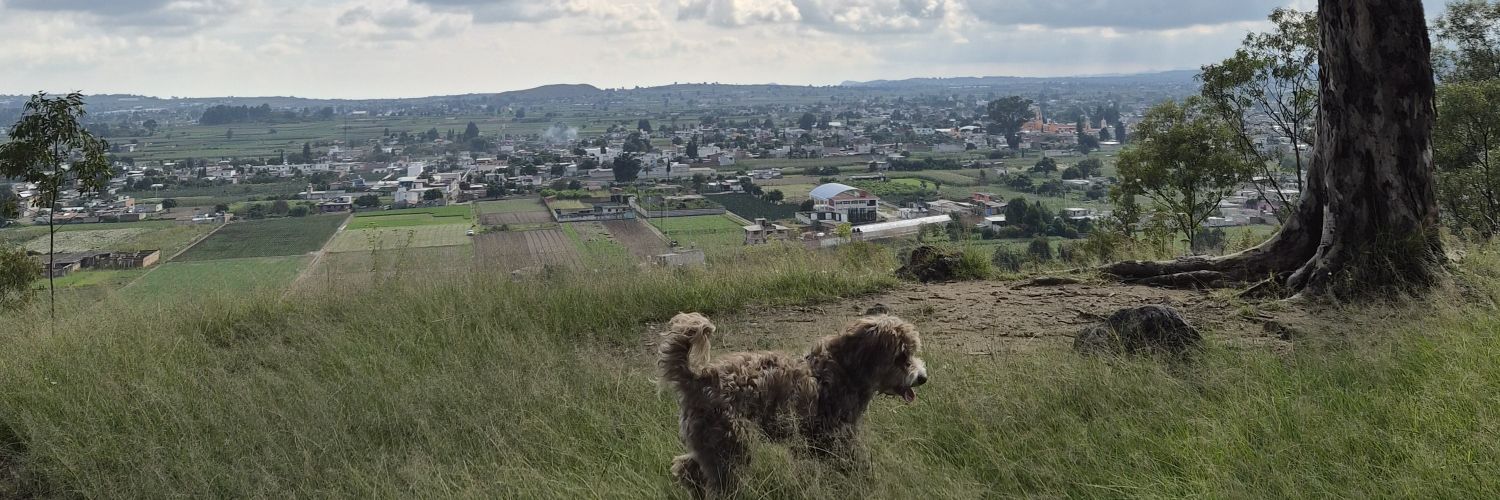 SugusBabyFace banner