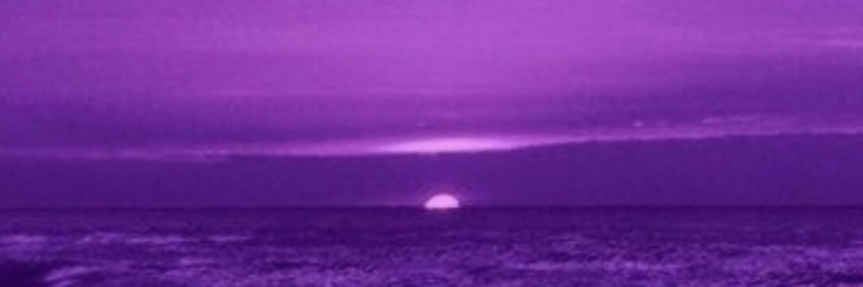The Drop Sound Radio Show 🥢⁷💜 @thedropsound banner