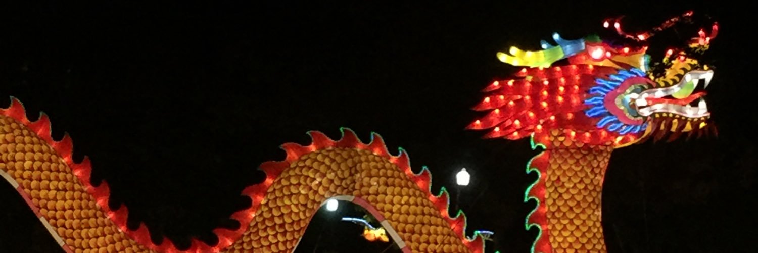 flightyee's profile banner image