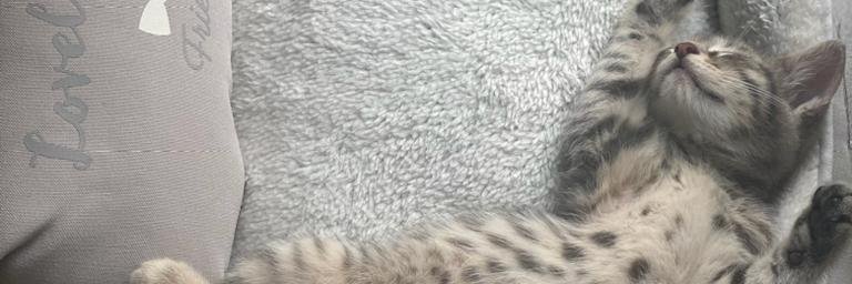 CarineTw's profile banner image