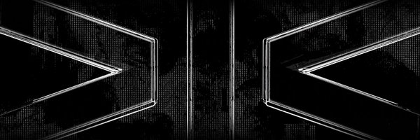 dragonfly_xyz Profile Banner