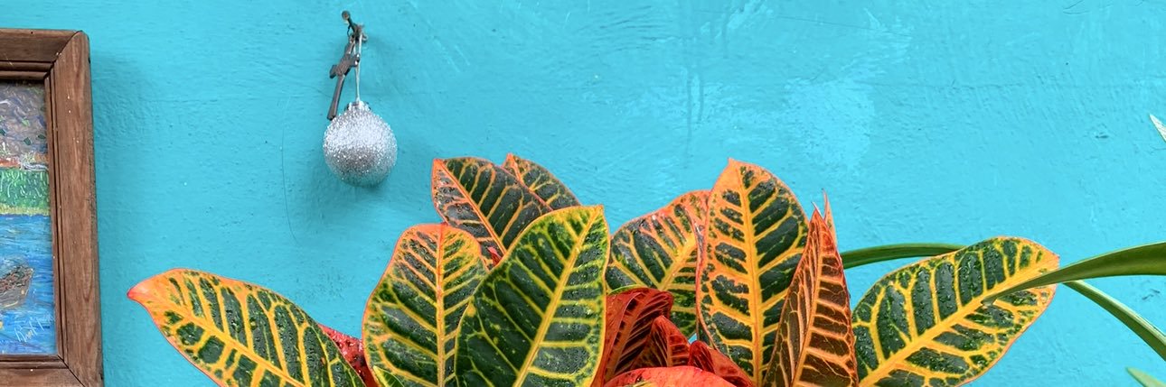 erickarias346's profile banner image
