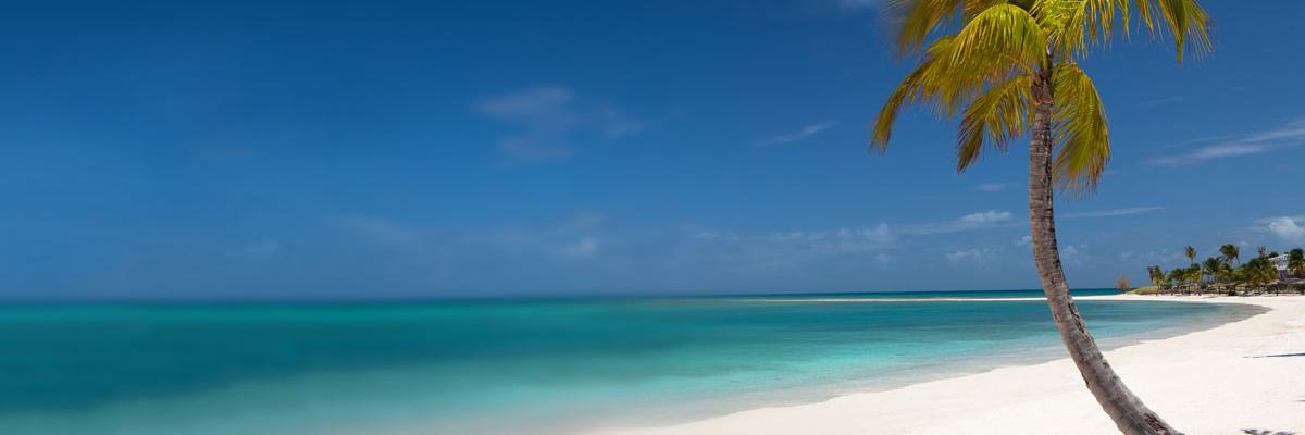 EinsteinQue's profile banner image