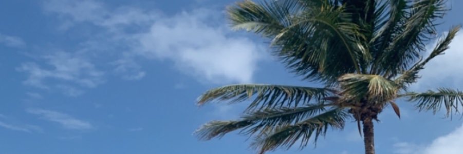 Madison_Mudd14's profile banner image