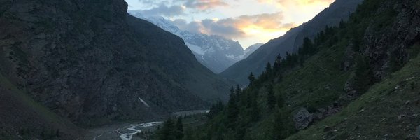 al_auerbach Profile Banner