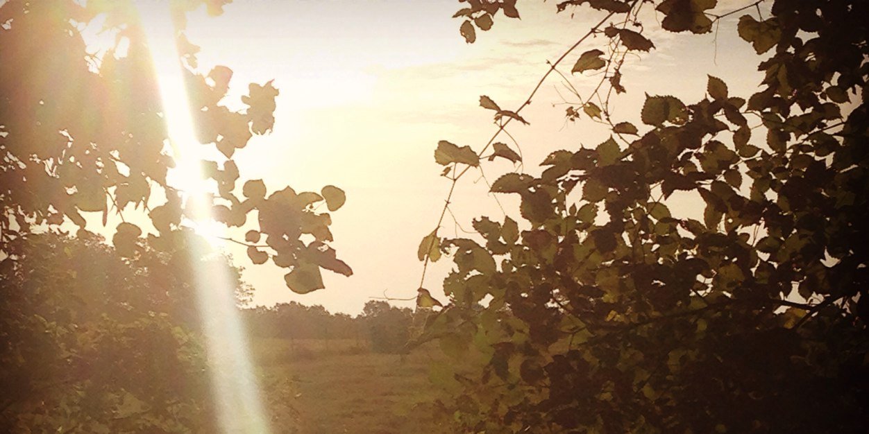 legorney's profile banner image
