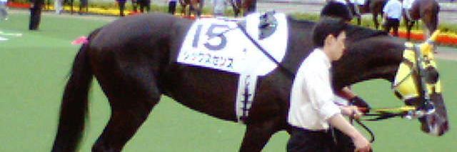 田端ヒロト（TABAチャン） banner